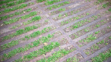 filled in cattle grid