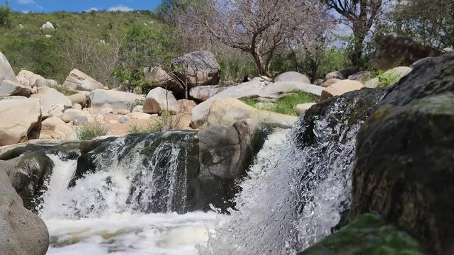 Riacho escondido na Caatinga do Brasil