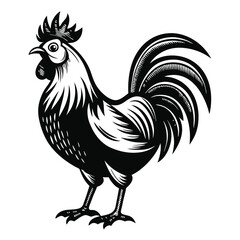 Majestic Rooster Illustration Black and White Farm Animal Design