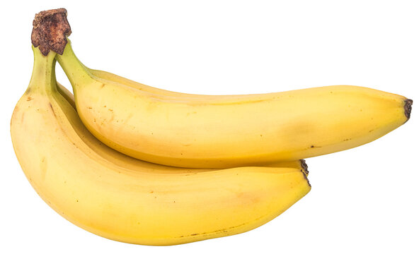 Close-up of a bunch of yellow bananas isolated on transparent png background - Powered by Adobe