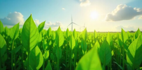 Lush Green Field of Arrow-Shaped Plants Swaying in Bright Sunlight Renewable Energy and Sustainable Harvest