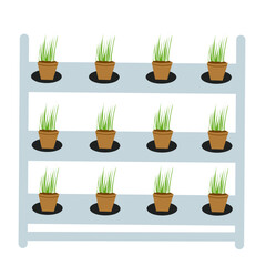 Illustration of hydroponic plants. Illustration of planting with a hydroponic system. Flat design illustration of hydroponics 
