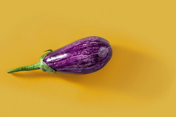 Eggplant Graphite, spotted purple vegetable. Raw berry, fresh nightshade fruit