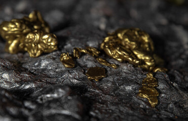 A gold vein, small pieces of gold nuggets within a rock, accumulation of gold in rocks, formed in...