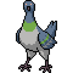 pixel art of bird pigeon dove stand
