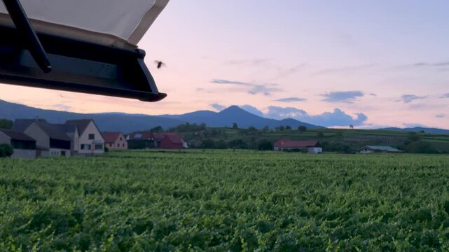 hannetons au coucher du soleil sur les montagne, ciel rouge et vignes en arri&egrave;re plan