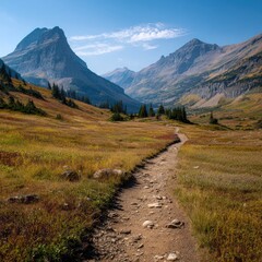 Mountain path through autumn meadow