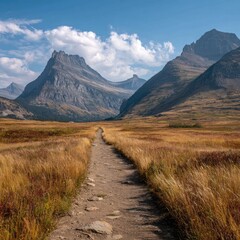 Mountain path through golden meadow
