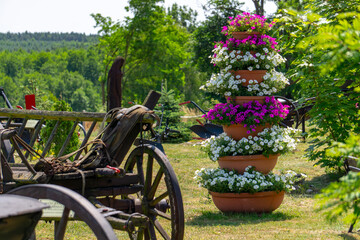Colorful flower arrangement with petunias in clay pots set against a wooden cart and lush greenery. Summer garden decoration in a rustic style, perfect for rural and landscape themes.
