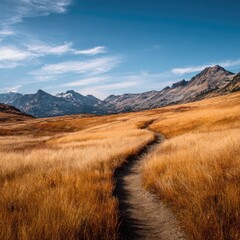 Golden path through tall grass mountains
