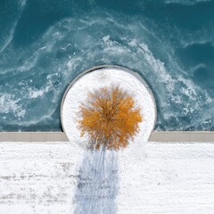Winter's Circle of Life