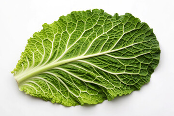 Single Savoy Cabbage Leaf Flat Lay Detailed Green Veins