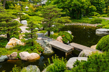 Tranquil View of Japanese Garden at Como Park Conservatory
