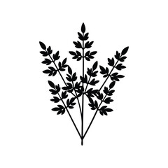 Black and white silhouette illustration of a leafy plant with three stems