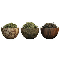 green tea leaves on transparent png background