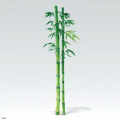Naklejka premium Two bamboo stalks with lush foliage against a plain background.