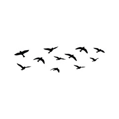 Simple birds flying illustration vector icon.