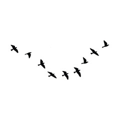 Simple birds flying illustration vector icon.