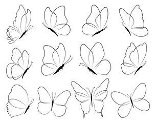 Set of black butterflies isolated on white background, collection of silhouettes. Butterfly black color, flying shape, vector design. Abstract modern monarch butterfly contours for decoration desig