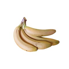 bunch of bananas. yellow bananas on white background . 4 bananas