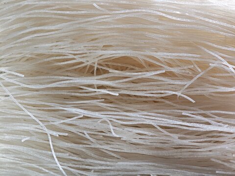 Striped light background made of dry lines