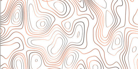 Topographic canyon geometric map relief texture with curved layers and shadow. abstract White background with a beautiful pattern, Topographic contour lines vector map seamless pattern vector.