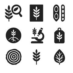 Acacia Study Icons. Solid, filled icon set of botanical studies of acacia: magnifying glass on leaf, pressed leaf, labeled