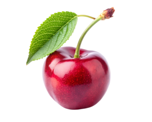 A single ripe red cherry with a leaf isolated on transparent background