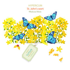 banner with blooming tutsan with butterflies. Hypericum perforatum wildflowers with craft paper tag label. card with medicinal herbal St. John's wort flower