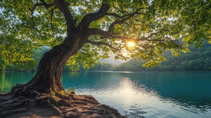 Sunlight streams through the lush canopy of a grand tree, its roots clinging to the rocky shore of a tranquil, turquoise lake surrounded by verdant forest.