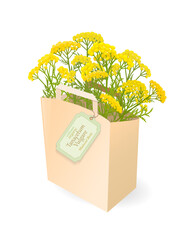 iisolated paper brown bag full of Tanacetum vulgare flowers. card with tansy in a craft packet. medicinal herbal bitter buttons with craft paper tag label