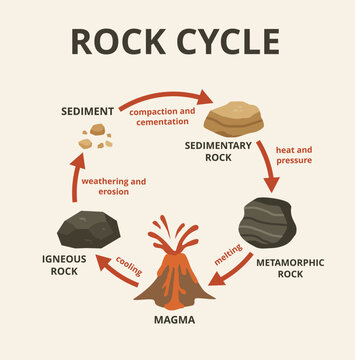 Vector illustration of Rock Cycle Diagram.Igneous, Sedimentary & Metamorphic Rock Process Illustration