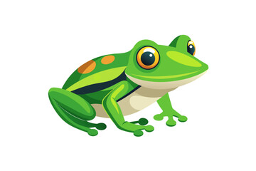 tree frog on white background