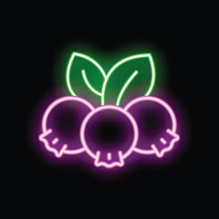 Neon icon of three blueberries with two green leaves glowing on black background