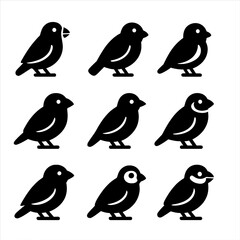 Obraz premium set of funny birds