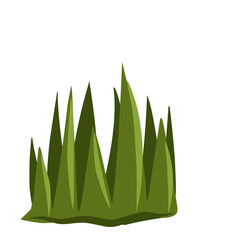 Green grass isolated,grass illustration,minimalist grass vector,hand drawn leaves, flat meadow illustration
