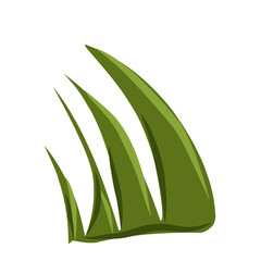 Green grass isolated,grass illustration,minimalist grass vector,hand drawn leaves, flat meadow illustration