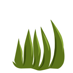 Green grass isolated,grass illustration,minimalist grass vector,hand drawn leaves, flat meadow illustration