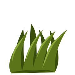 Green grass isolated,grass illustration,minimalist grass vector,hand drawn leaves, flat meadow illustration
