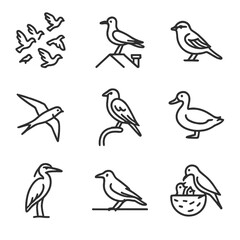 Urban Bird Icons. Outline icon set of urban bird life: pigeon flock, rooftop seagull, city sparrow, chimney swift, hawk on