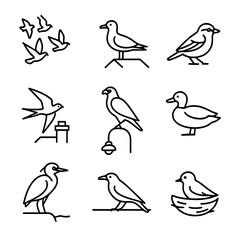 Fototapeta premium Urban Bird Icons. Outline icon set of urban bird life: pigeon flock, rooftop seagull, city sparrow, chimney swift, hawk on