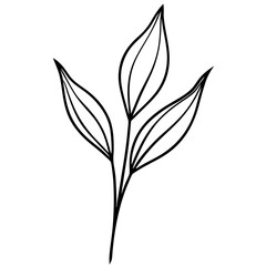 silhouette of a plant