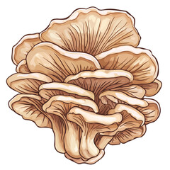 Maitake Mushroom, cartoon vector illustration, flat 2D isometric style, white background.