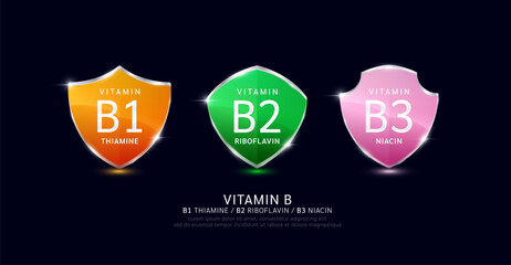 Vitamin B1 B2 B3 in translucent glass shield aluminum frame shiny modern 3D isolated on dark background. For design dietary supplement products. Health care protection. Vector.