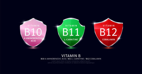 Vitamin B10 B11 B12 in translucent glass shield aluminum frame shiny modern 3D isolated on dark background. For design dietary supplement products. Health care protection. Vector.