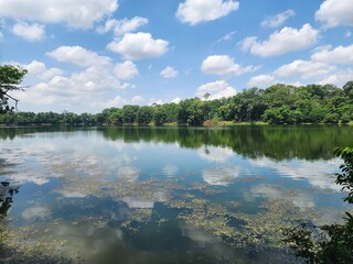 Fototapeta premium lake in the forest