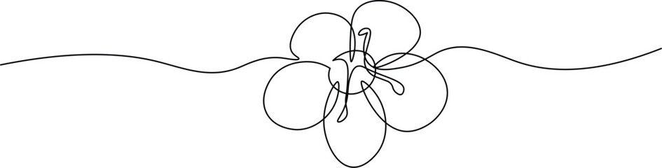 Sakura flower petal in one continuous line. Sakura in black linear sketch isolated on white background. Vector illustration