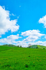 Fototapeta premium Peaceful Countryside Landscape with Vibrant Green Fields Under a Clear Blue Sky