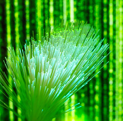 Fiber optics close-up, modern computer communication technology