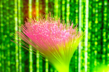 Fiber optics close-up, modern computer communication technology